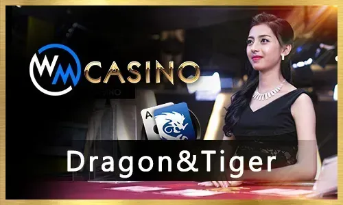 Bingo Player Winning Moment